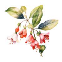 Cute botanical watercolor plant. Illustration AI Generative png