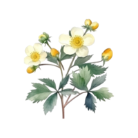 Cute botanical watercolor plant. Illustration AI Generative png