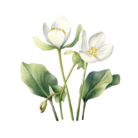 linda botánico acuarela planta. ilustración ai generativo png