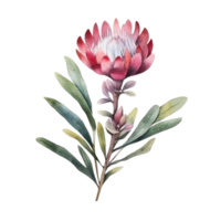 Cute botanical watercolor plant. Illustration AI Generative png