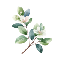 Cute botanical watercolor plant. Illustration AI Generative png