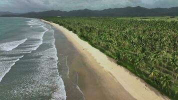 vågor på de folktom san vicente lång strand, palawan ö, antenn se video