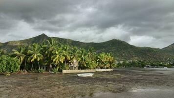 Houses Of Local People Among Tropical Palm Trees, Mauritius video