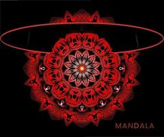 mandala modelo para textil a impresión Listo vector