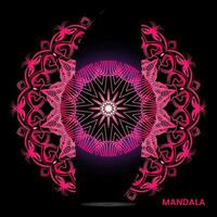 mandala modelo para textil a impresión Listo vector