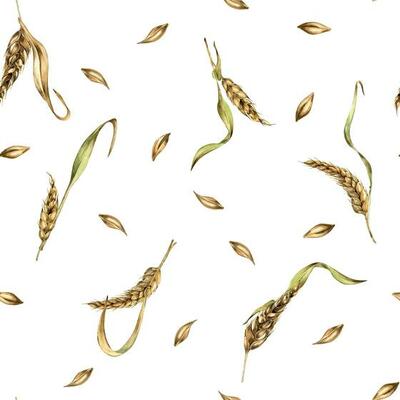 Wheat ear, barley watercolor seamless pattern on white background. Spikelet of rye, malt stalk hand drawn. Design element for textile, wrapping, packaging, label grocery, bakery, paper