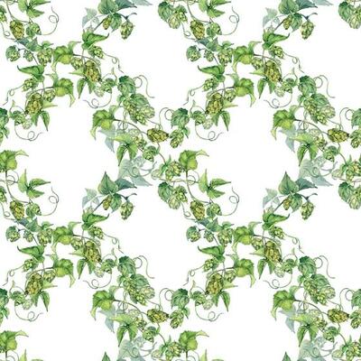 Hop vine, plant humulus watercolor seamless pattern isolated on white background. Hop on brunch with leaves, hop cones hand drawn. Design element for wrapping, label, packaging, paper, textile