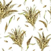 Wheat ear bunch watercolor seamless pattern isolated on white background. Spikelet of rye, barley, grains hand drawn. Design element for textile, paper, packaging, label grocery, bakery, wrapping vector