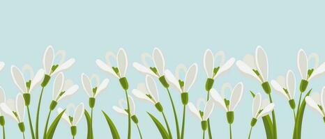 Border, spring flowers snowdrops. Spring background with copy space. Illustration, vector