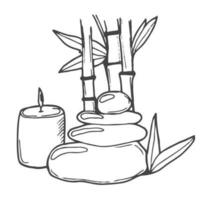 Spa cosmetic bamboo plant with aroma candle and zen basalt stones. Vector illustration