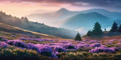 . . Beautiful rhododendron flowers over sunset mountains field landscape. Graphic Art photo