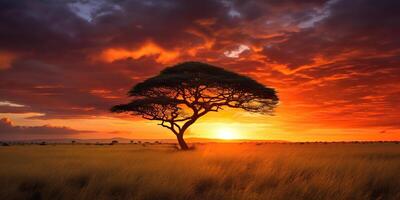 . . Photo realistic illustration of sunset tree of life outdoor scene. Graphic Art