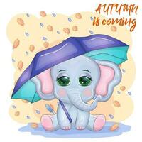 Cute cartoon elephant, childish character with beautiful eyes with umbrella, autumn vector