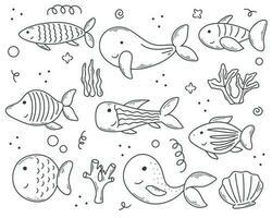 Cute sea fish and seaweed hand drawn set vector