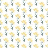 Seamless pattern of hand drawn of wild doodle flowers on isolated background. Design for mothers day, Easter, springtime and summertime celebration, scrapbooking, textile, home decor, paper craft. vector