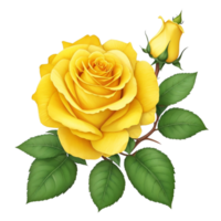 Romantic yellow rose isolated on transparent background for wedding and valentine anniversary botanical greeting card illustration, png