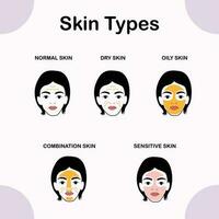 Modern Vector of Skin Types Normal, Dry, Combination, Oily, Sensitive