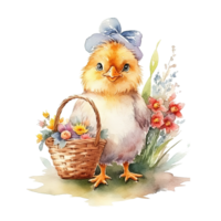 Watercolor chicken with eggs. Illustration png