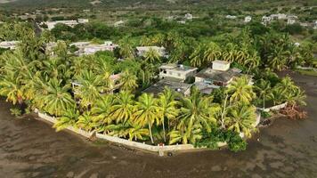 Houses Of Local People Among Tropical Palm Trees, Mauritius video
