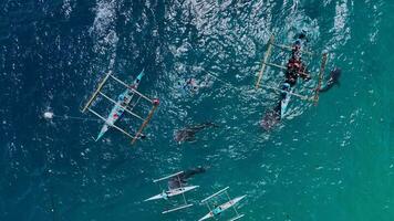 snorkeling com raro baleia tubarões em cebu ilha, Filipinas, aéreo Visão video