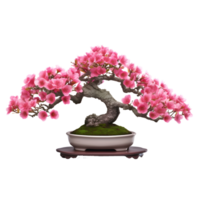 Rhododendron indicum Osakazuki as bonsai tree with pink flowers. AI Generated png