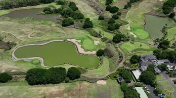 golf klubb i bel ombre, mauritius antenn kust video