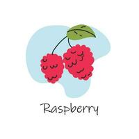 Vector hand drawn isolated raspberry with lettering. Cartoon style.Flat raspberry icon, logo for web, design, packaging.