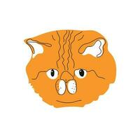 retrato de un gato en dibujos animados estilo. persa gato. vector ilustración aislado en blanco antecedentes. aislado diseño elemento. mascotas concepto, ropa imprimir, embalaje.