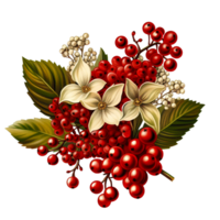 Christmas Holly Leaves Branches And Berries. png