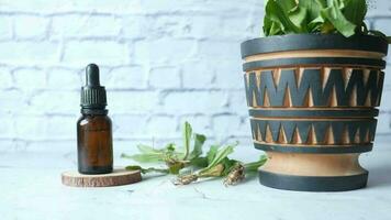 Eucalyptus essential oils in a glass bottle with green leaf on tiles, video