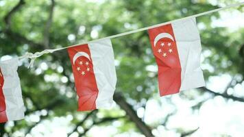 drapeaux de singapour pour la célébration de la fête nationale video