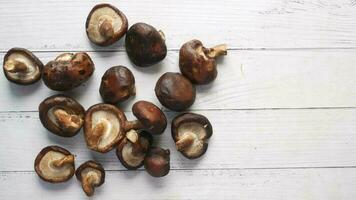 raw champignon mushroom on a white table video