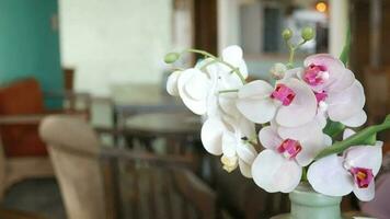 fläck Kafé bakgrund med blomma på tabell video