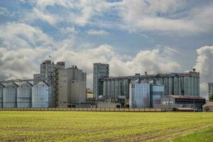 agro silos en agroindustrial complejo y grano el secado y semillas limpieza línea. foto