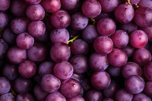 Fresh ripe blue grape. Food background. Dark grape. photo