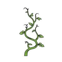 Green plant. Young sprout. Farming and gardening. Cartoon illustration isolated on white vector