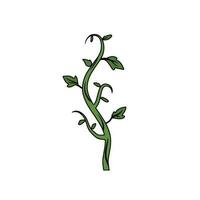 Green plant. Young sprout. Farming and gardening. Cartoon illustration isolated on white vector