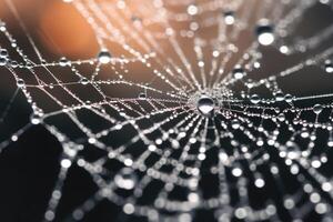 Spiderweb rain close up background. Partial blur view lines spider web necklace. photo