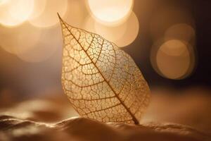 cerca arriba blanco esqueletizado hoja en dorado antecedentes con redondo Bokeh. generativo ai foto