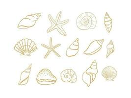 set of marine life conch, sea shell, starfish vector