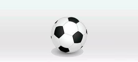 Tournament Soccer Ball vector