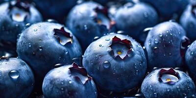 . . Organic eco photo illistration of blueberry berries fresh. Graphic Art