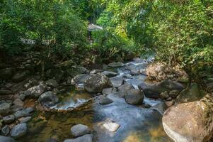 Beautiful landscape view in deep forest at namtok phlio National Park chanthaburi thailand. photo