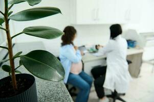 Selective focus on potted houseplant on a windowsill against blurred background of a doctor consulting pregnant patient photo