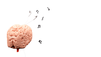 3d menselijk intern orgaan hersenen met oortelefoon, muziek- aantekeningen png