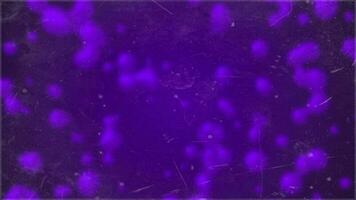 purple color glass morphism wiggling particles background video