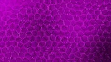 Wiggling pink color Hexagon pattern background video