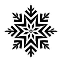 Beautiful Christmas Snowflake vector