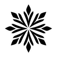 Beautiful Christmas Snowflake vector