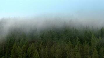 italien dolomites couvert par orageux des nuages. alpin paysage. video